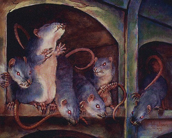Earsplitting Rats Crop image Wallpaper