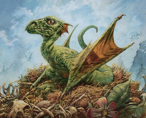 Fledgling Dragon Crop image Wallpaper