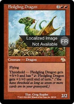 Dragon juvénile image