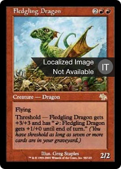 Fledgling Dragon image