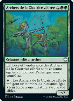 Archers de la Cicatrice zébrée image