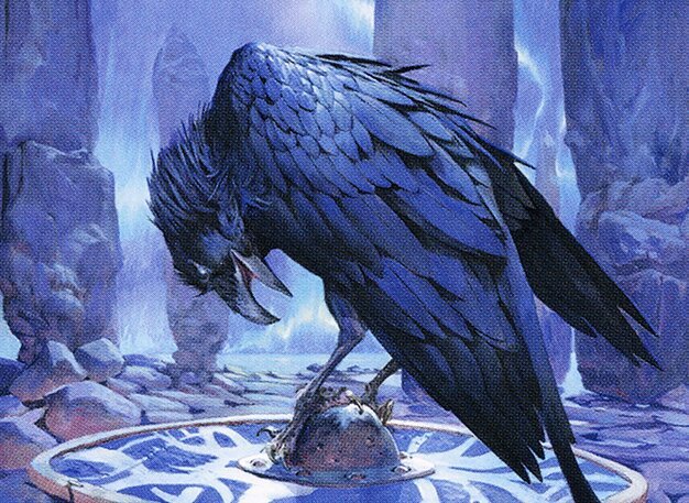 Augury Raven Crop image Wallpaper