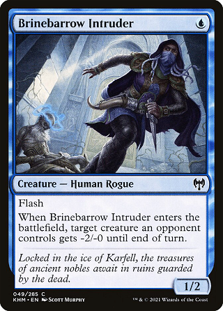 Brinebarrow Intruder image