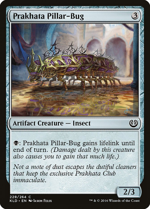 Prakhata Pillar-Bug Full hd image