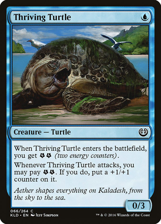 Thriving Turtle Full hd image