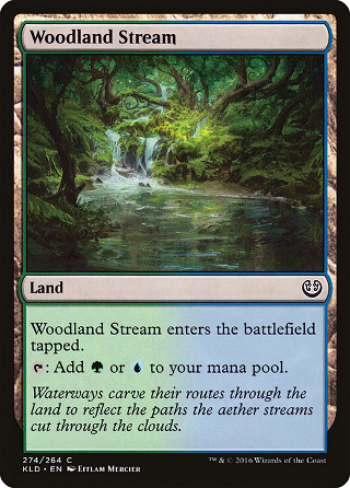 Woodland Stream image