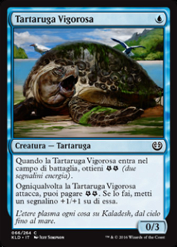 Tartaruga Vigorosa image