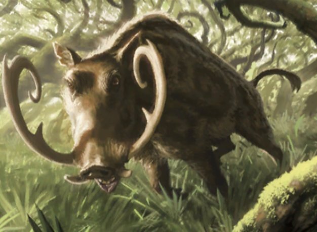 Outland Boar Crop image Wallpaper