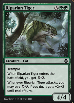 Tigre Ripariano