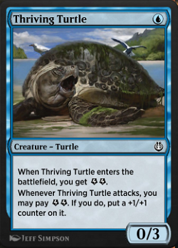 Thriving Turtle image
