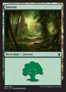 Foresta