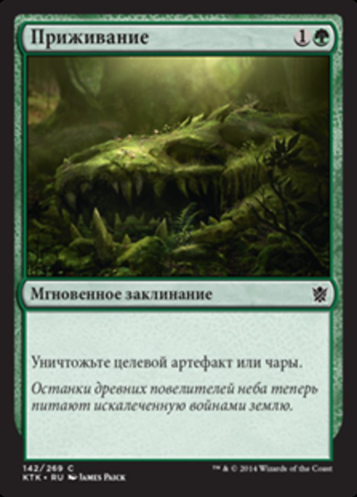 Naturalize Full hd image