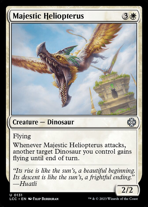 Majestic Heliopterus Full hd image