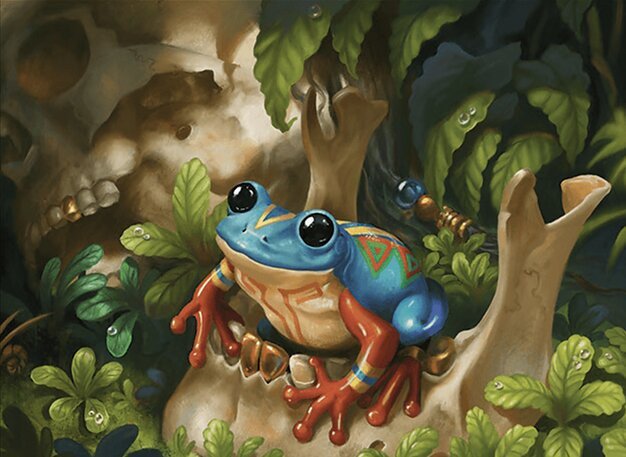 Poison Dart Frog Crop image Wallpaper