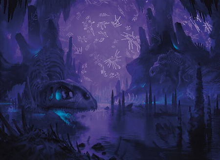 Swamp