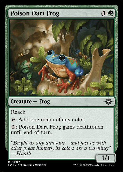 Poison Dart Frog Full hd image