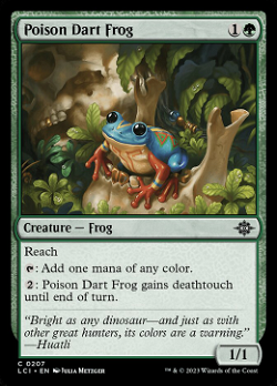 Poison Dart Frog image