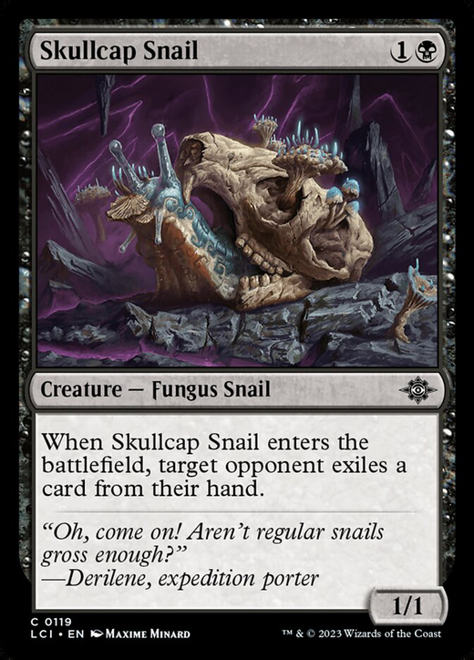 Skullcap Snail Full hd image