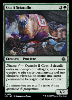 Coati Sciacallo image