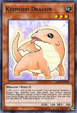 Kidmodo Dragon image