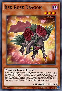 Red Rose Dragon image
