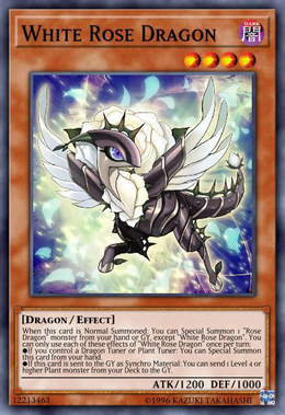 Card image in hand