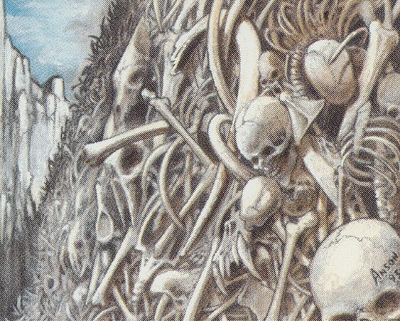 Wall of Bone Crop image Wallpaper