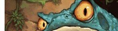 Huge Toad Crop image Wallpaper