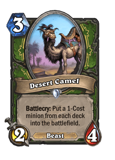 Desert Camel Full hd image
