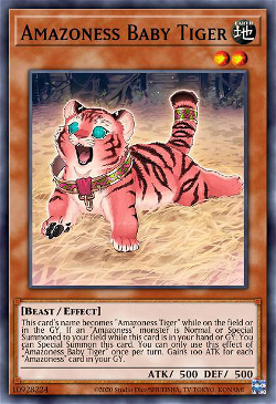 Amazoness Bébé Tigre