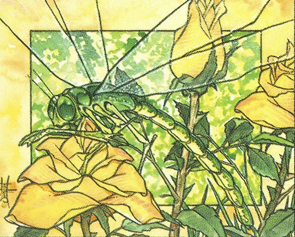 Emerald Dragonfly Crop image Wallpaper