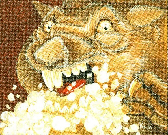 Rabid Wombat Crop image Wallpaper