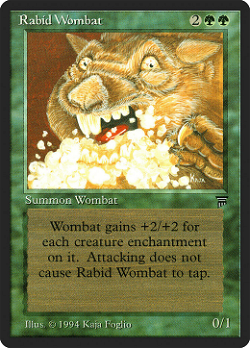 Wütender Wombat