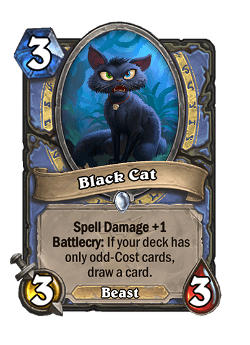 Black Cat image