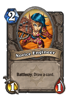 Novice Engineer