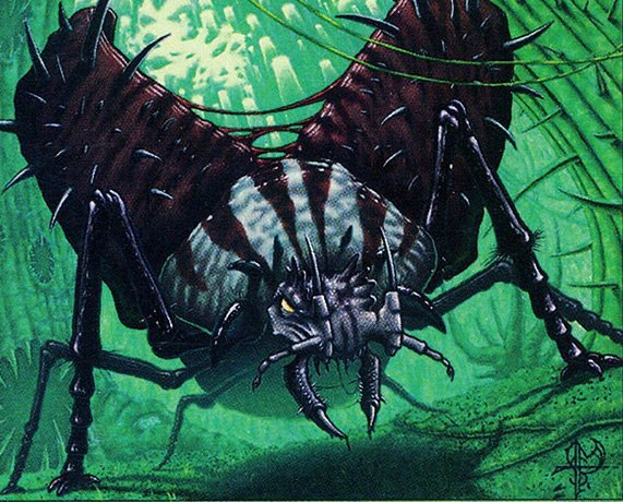 Vexing Beetle Crop image Wallpaper