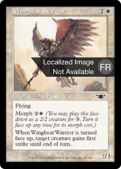 Wingbeat Warrior image