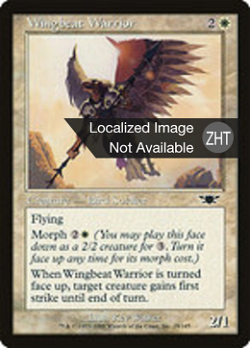 Wingbeat Warrior image