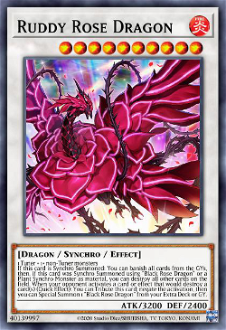 Ruddy Rose Dragon image