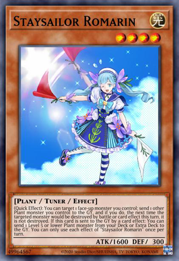 Card image in hand