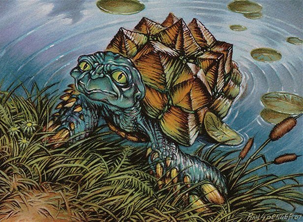 Turtleshell Changeling Crop image Wallpaper