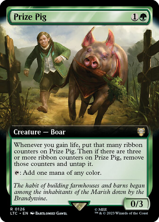 Prize Pig image