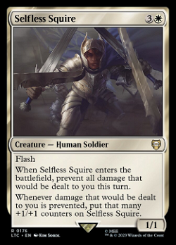 Selfless Squire image