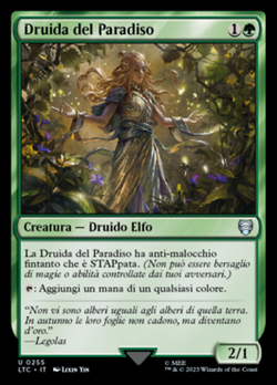 Druida del Paradiso