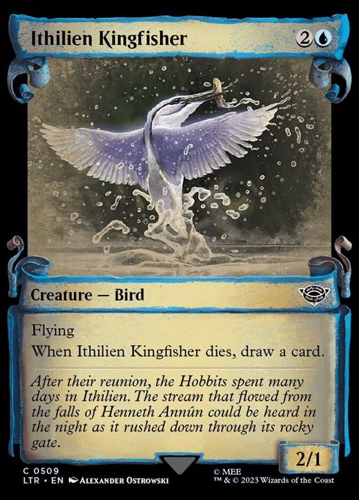 Ithilien Kingfisher Full hd image