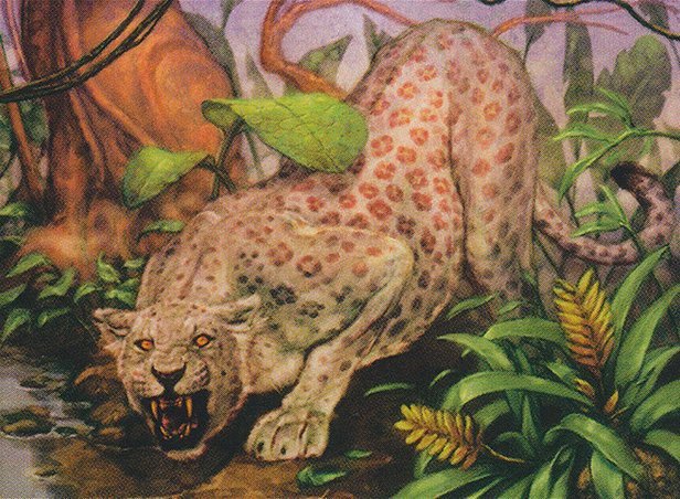 Mist Leopard Crop image Wallpaper