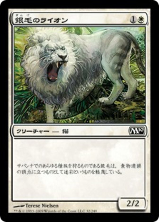 銀毛のライオン image