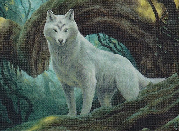 Sacred Wolf Crop image Wallpaper