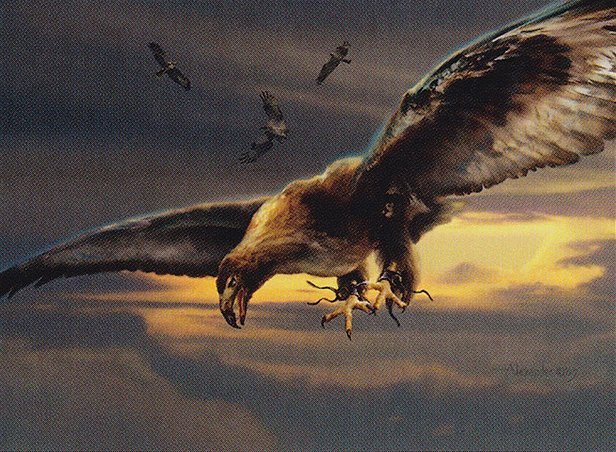 Squadron Hawk Crop image Wallpaper