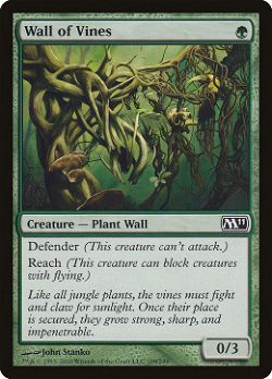 Wall of Vines image